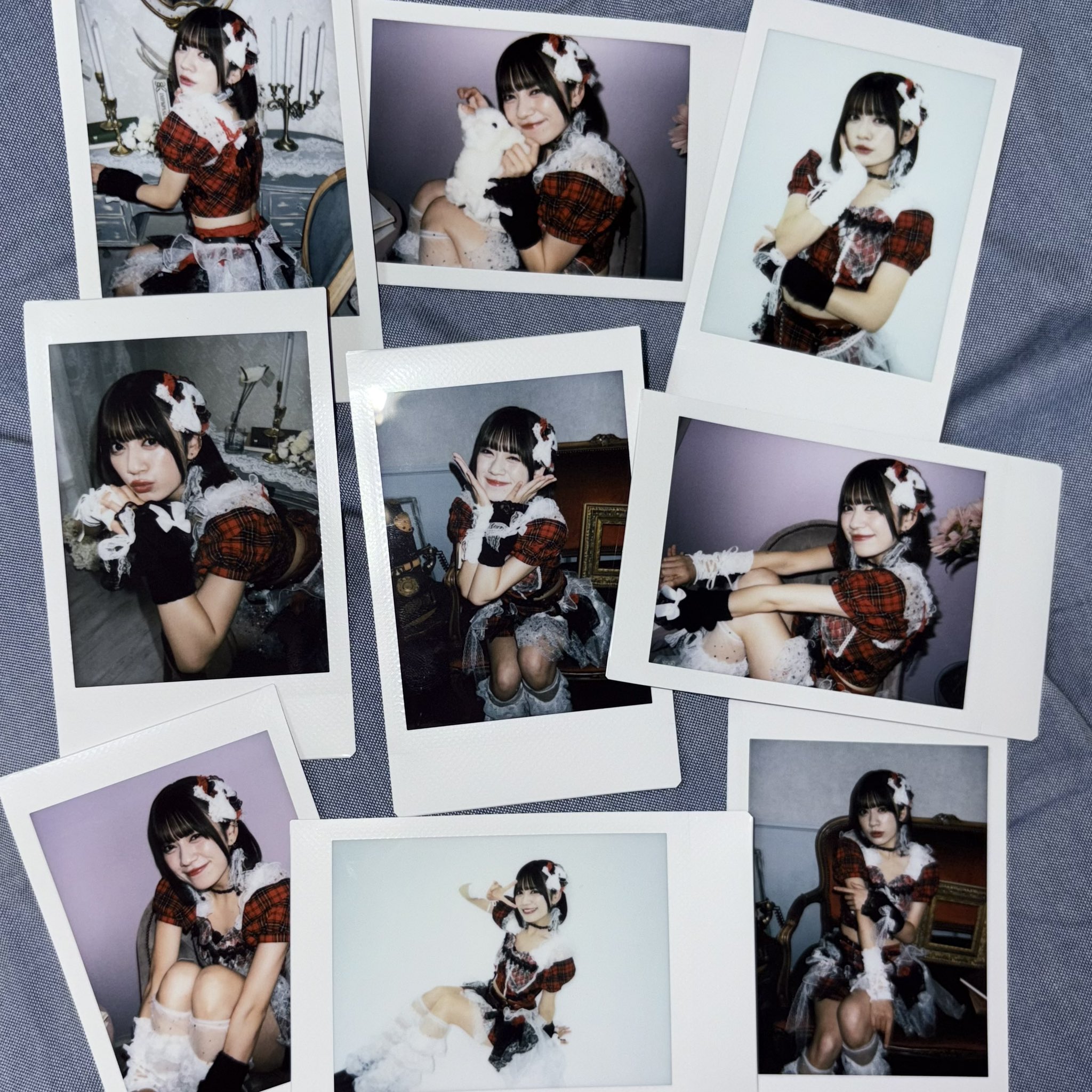 蛾と蝶 零さん チェキ 17枚 蛾と蝶 ゲーム・おもちゃ・グッズ 蛾と蝶 零さん チェキ 17枚