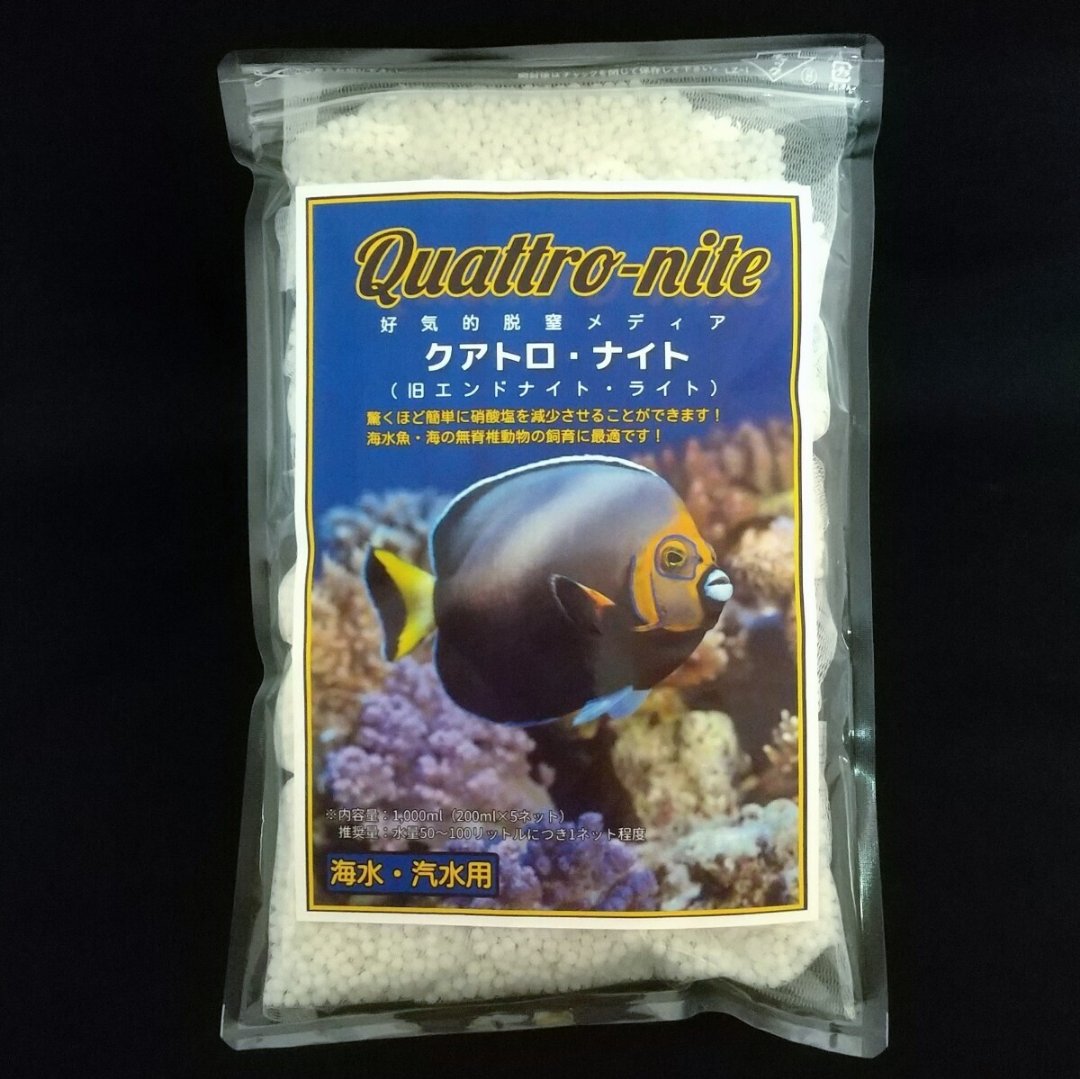 けみがわ観賞魚 (@kemigawafish) / X