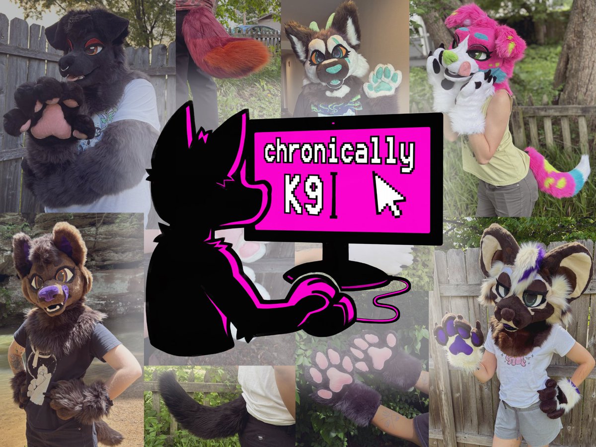 chronicallyk9 tweet media