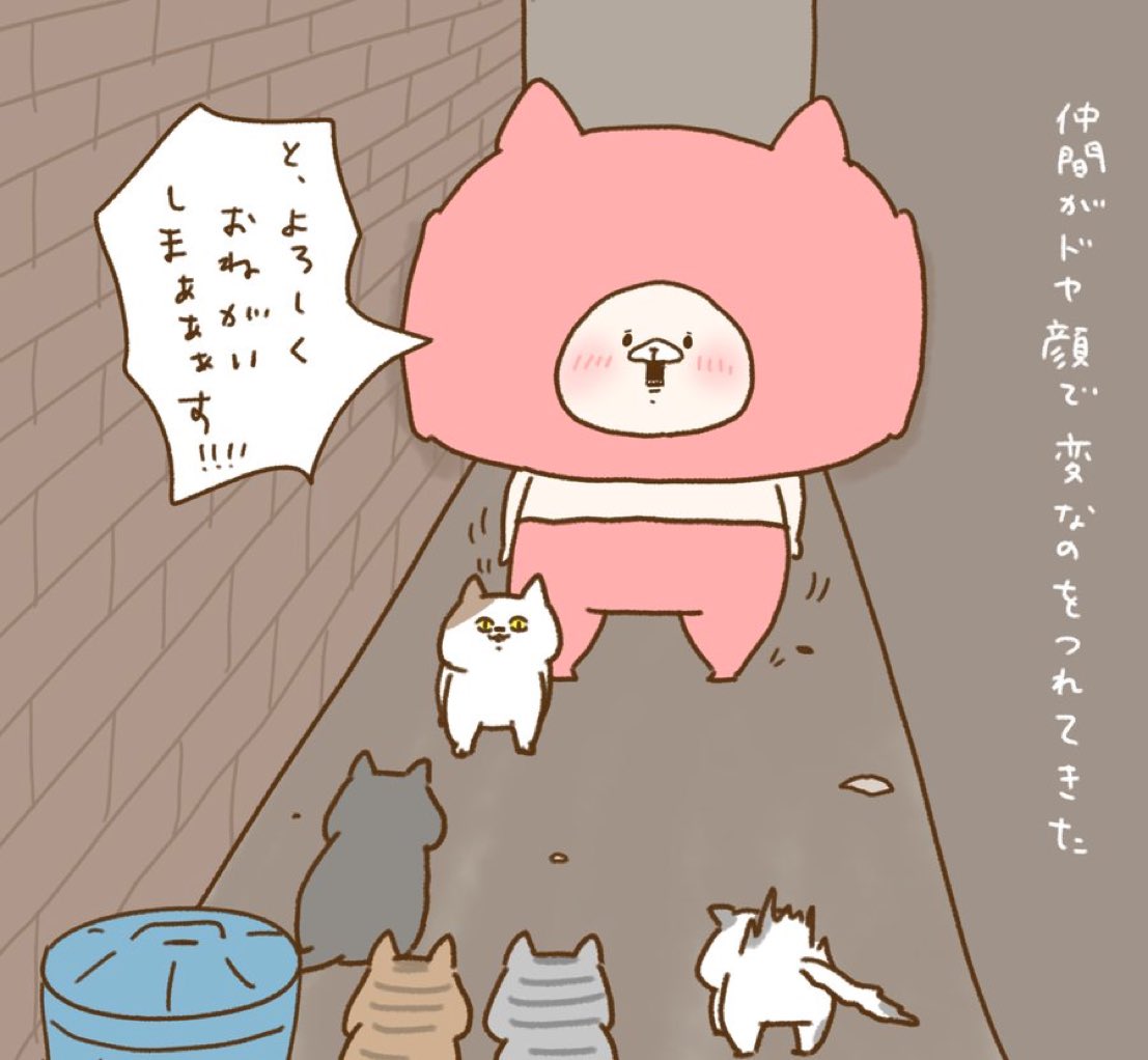 ともくまさん、おはようございます！ ちょっと疲れたときにねこくま
