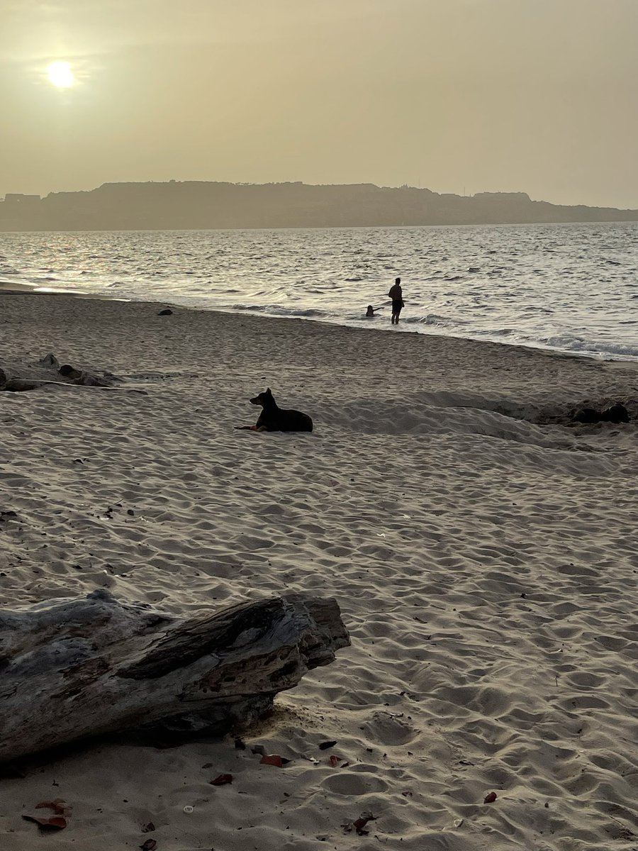 Mi momento favorito de disociar y pasar la ansiedad