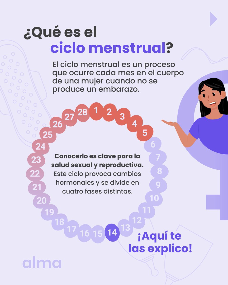 alma_responde's tweet photo. ¿Conoces cómo funciona el ciclo menstrual? 🩸

Entender lo que sucede en cada fase nos permite tener un mejor control sobre nuestro cuerpo. Cuidar de tu salud también implica conocerte mejor. 

¡Demos un recorrido por este proceso! 🔄

#ciclomenstrual #saludsexualyreproductiva #tusalud #ALMA #menstruacion