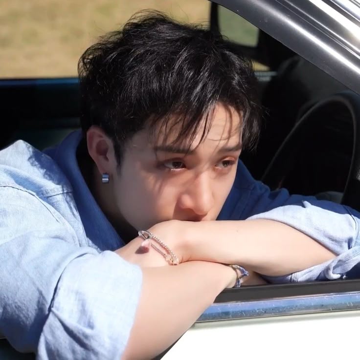 bangchan as wolves 🐺 tweet media