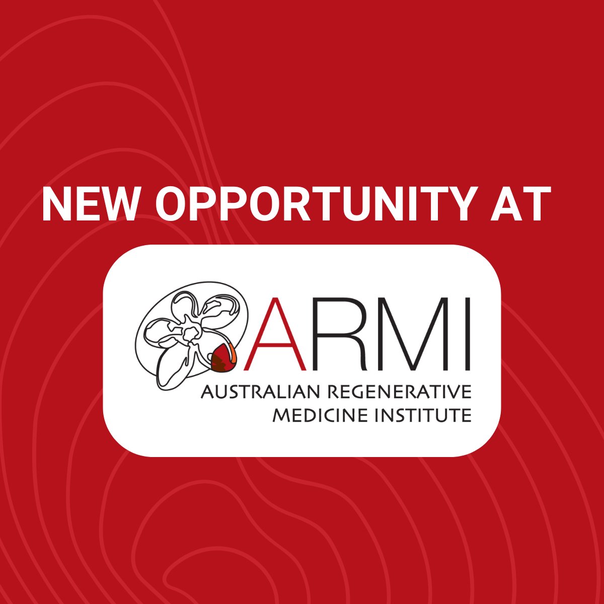ARMI (@armi_labs) on Twitter photo 🚨 We’re hiring in Dr <a href="/Wi_Roman/">William Roman</a>'s Group. The Roman group study how cells communicate to keep organs healthy – and how this goes wrong in disease & ageing. Work with iPSCs, biomaterials, organ-on-chip & spatial transcriptomics to advance muscle biology & regenerative medicine. 🚨 We’re hiring in Dr <a href="/Wi_Roman/">William Roman</a>'s Group. The Roman group study how cells communicate to keep organs healthy – and how this goes wrong in disease & ageing. Work with iPSCs, biomaterials, organ-on-chip & spatial transcriptomics to advance muscle biology & regenerative medicine.