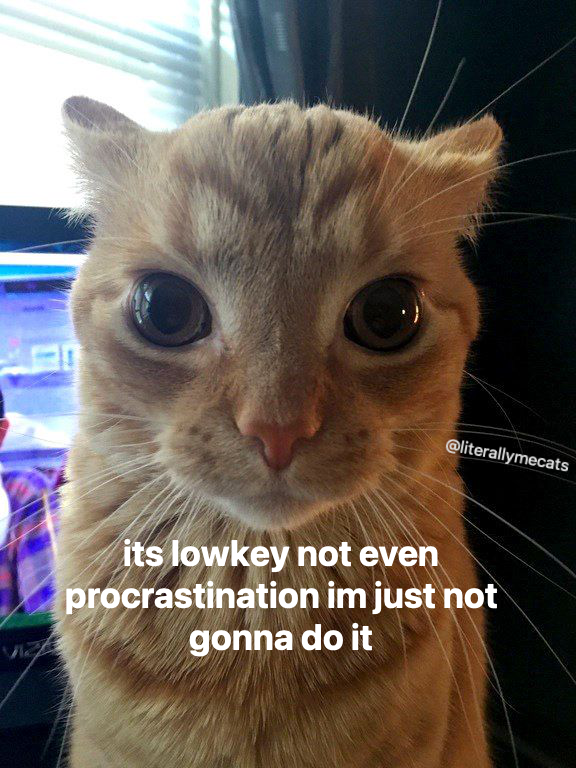 literallymecats's tweet photo. https://t.co/4rroBKGlWk