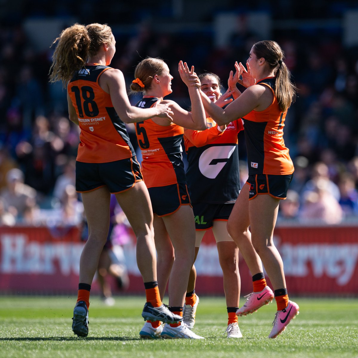 Manuka Oval tweet media