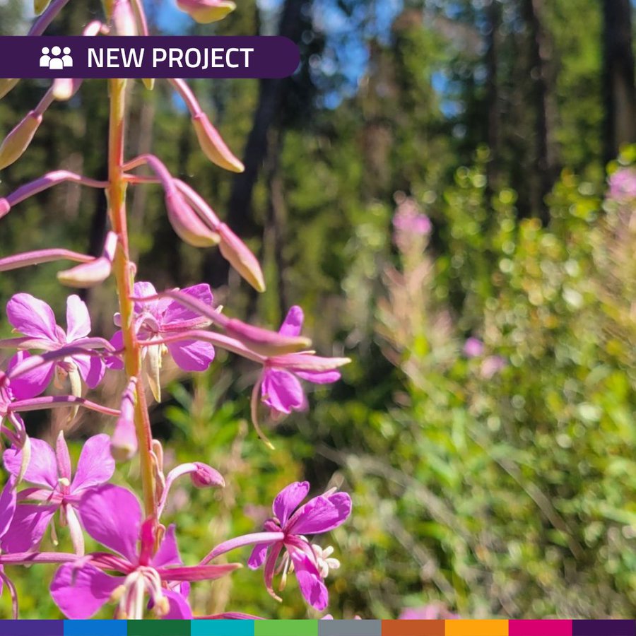 GenomeBC tweet media