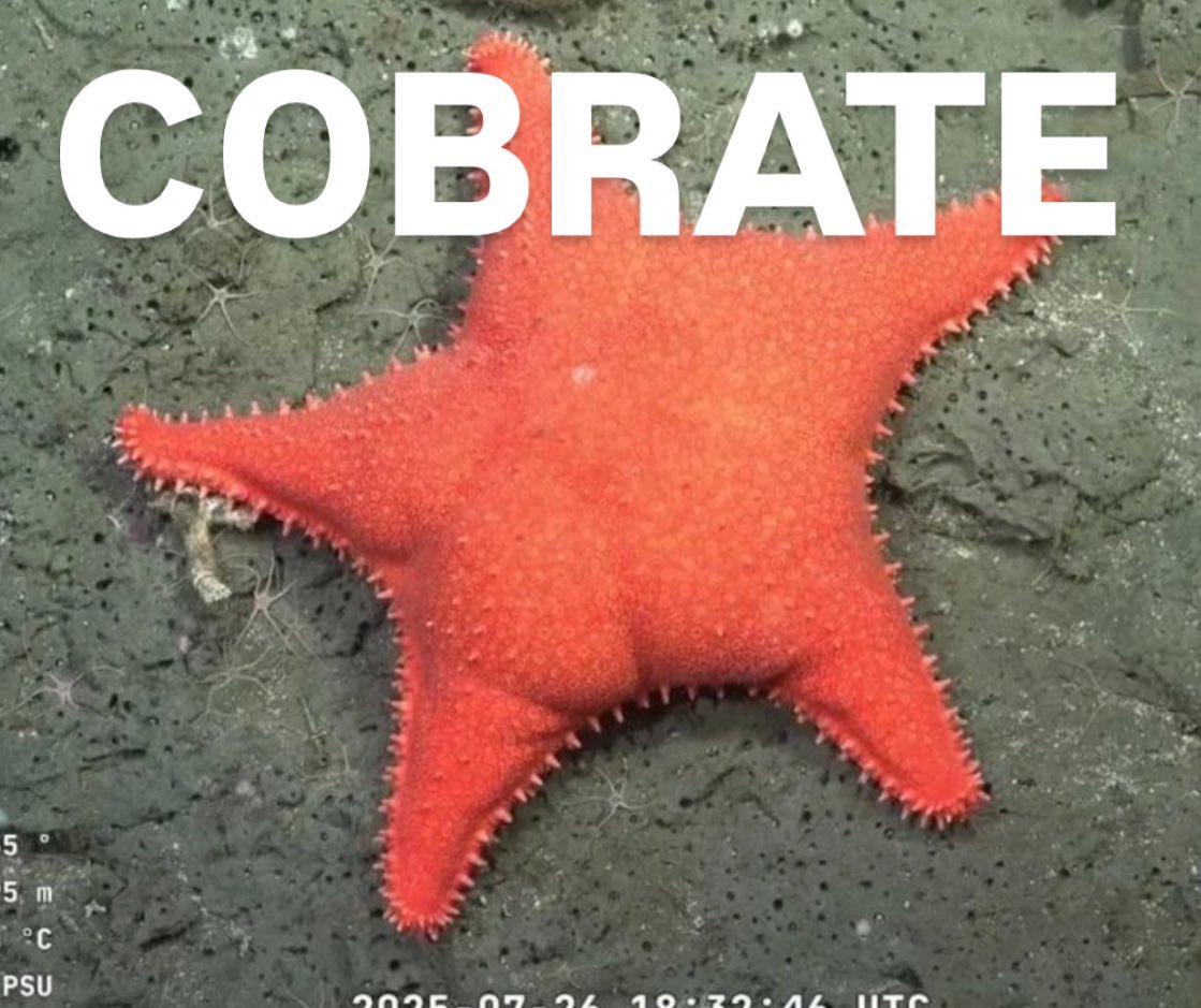 JONY DOO 🤷🏻‍♂️ tweet media