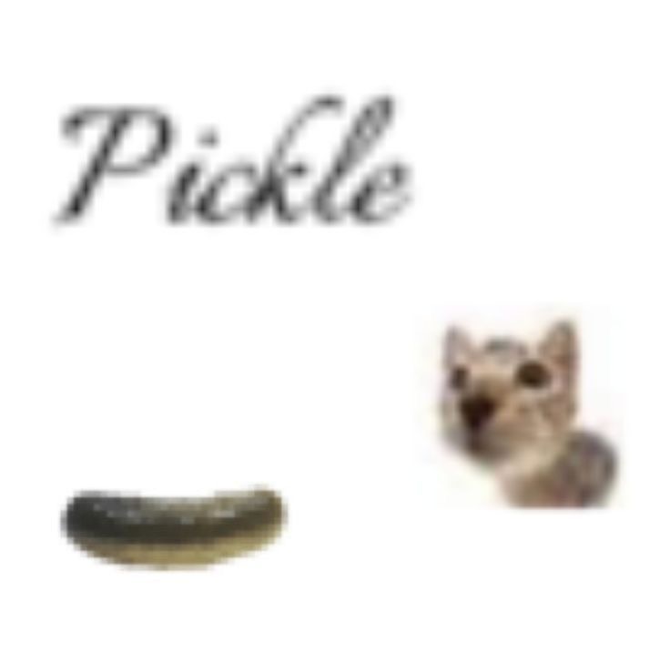 CaterWak tweet media