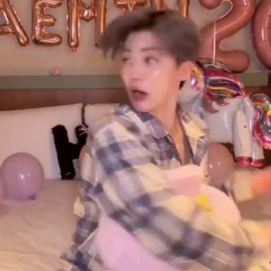 animal                                            real life