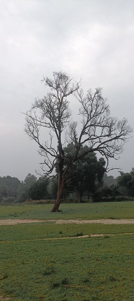 तनाव का अर्थ है कि आप कुछ और होना चाहते हैं जो कि आप नहीं हैं
#Good_morning 🌅🌅🌅
