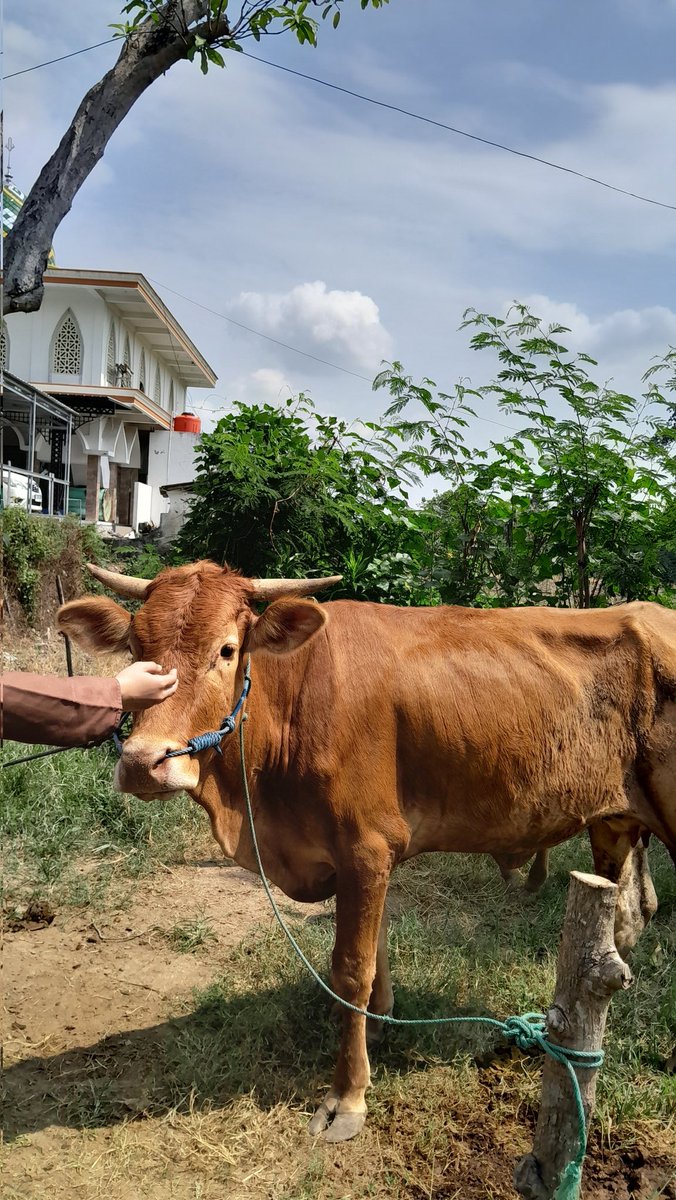 jsminel2's tweet image. hey sepi kangen😭 kangen kkn jugaakkkk