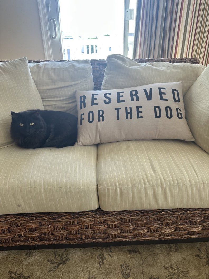 Why libertarians love cats…