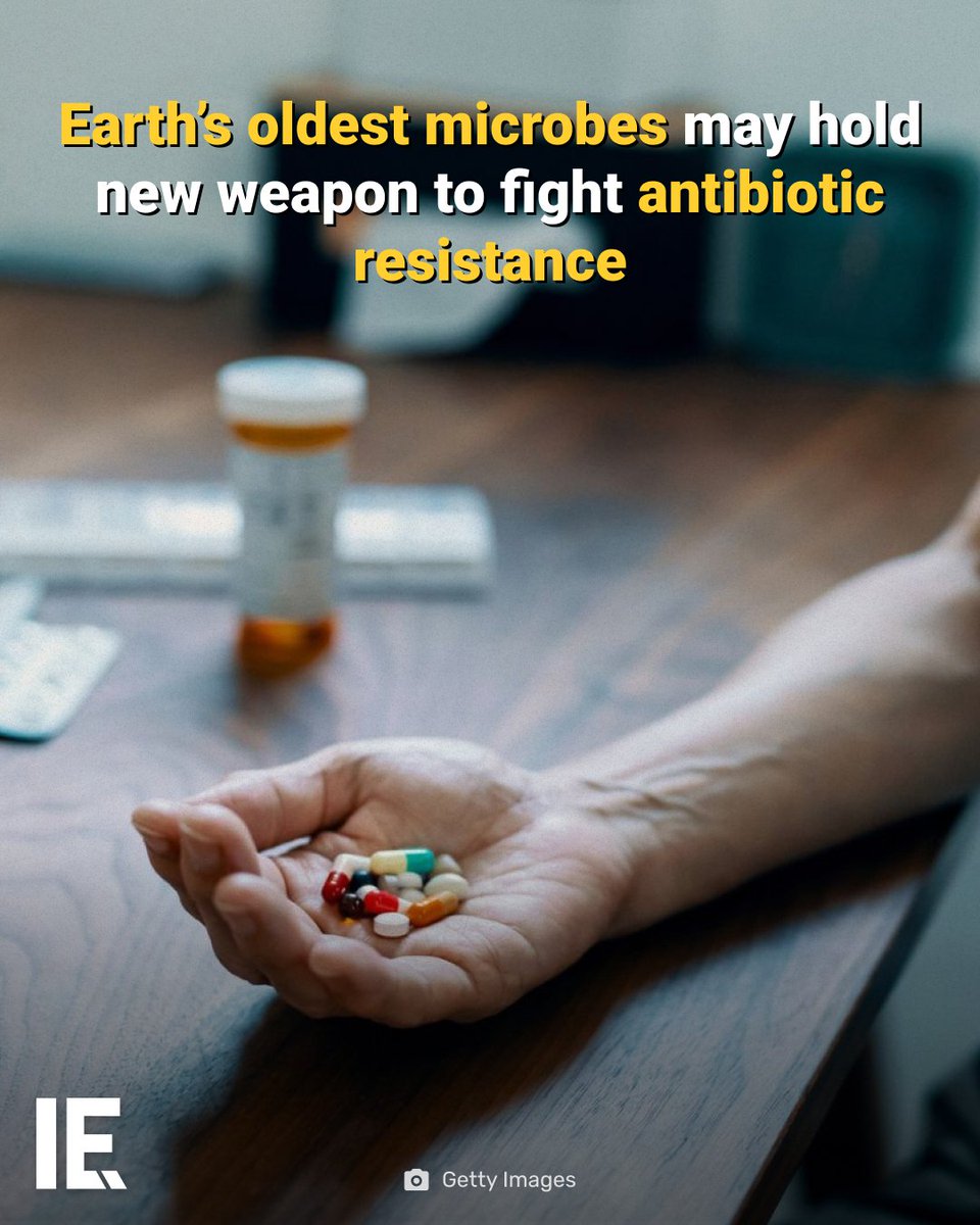 Scientists have used artificial intelligence to uncover antibiotic compounds in ancient microbes.

Find out more at the link in bio. 🚀