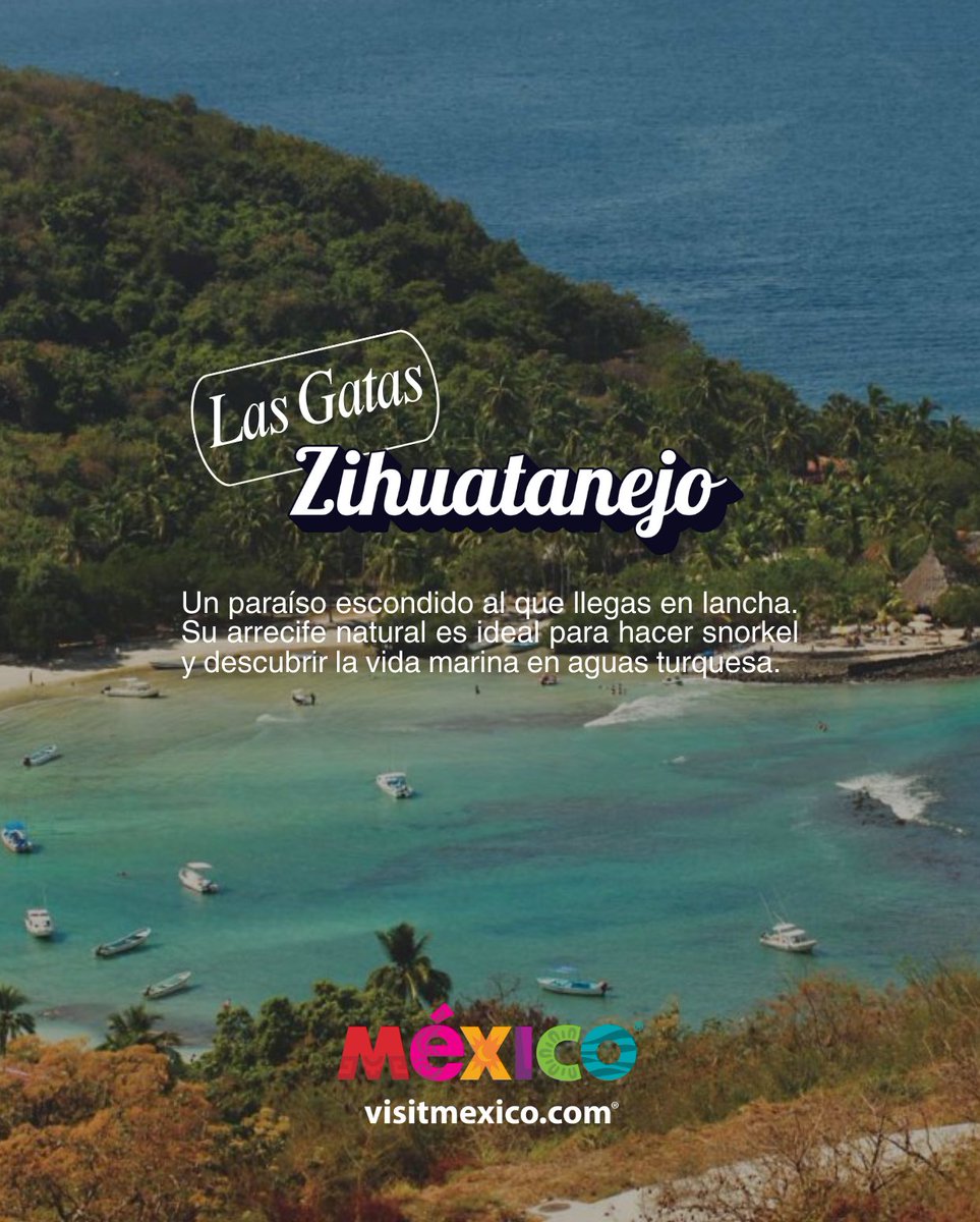 WeVisitMexico's tweet photo. In Guerrero, golden sands, crystal waters, and breathtaking sunsets create the perfect setting to relax, explore, and share unforgettable moments.
📍Discover the beauty of its beaches. 🇲🇽
#VisitMexico #Guerrero #MéxicoEsIncreíble #TurismoDePlaya #ViajaPorMéxico https://t.co/pBmIjYlIT8
