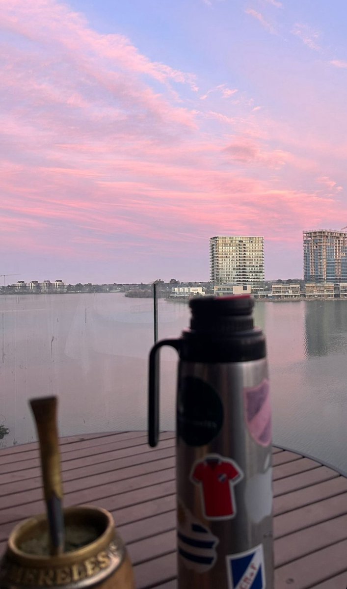 bolsodeley_1899 tweet media