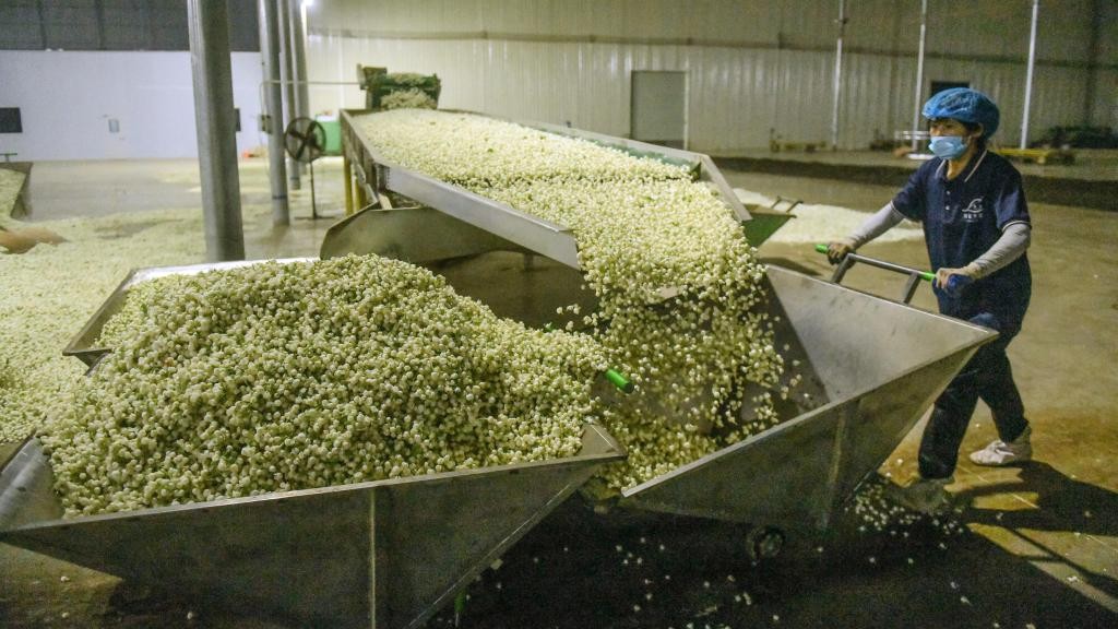 ⚠️ジャスミンページ⚠️ ジャスミン - Search / X