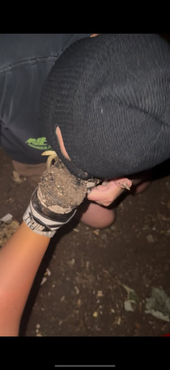 Ellzb3llzxo's tweet photo. This loser begged me to step filthy mud in his McDonald’s before eating it off my shoes 🤭 Do you think he ate the lot? 
Who else is brave enough??? 🫣
DM to see the vid 🔥 https://t.co/FPgsx06aAh