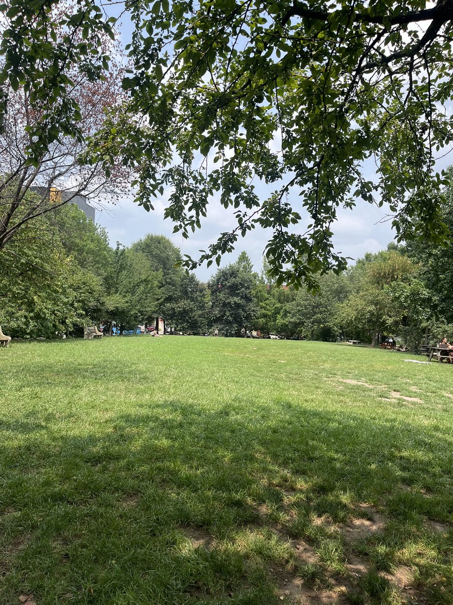 Zach Carey tweet media