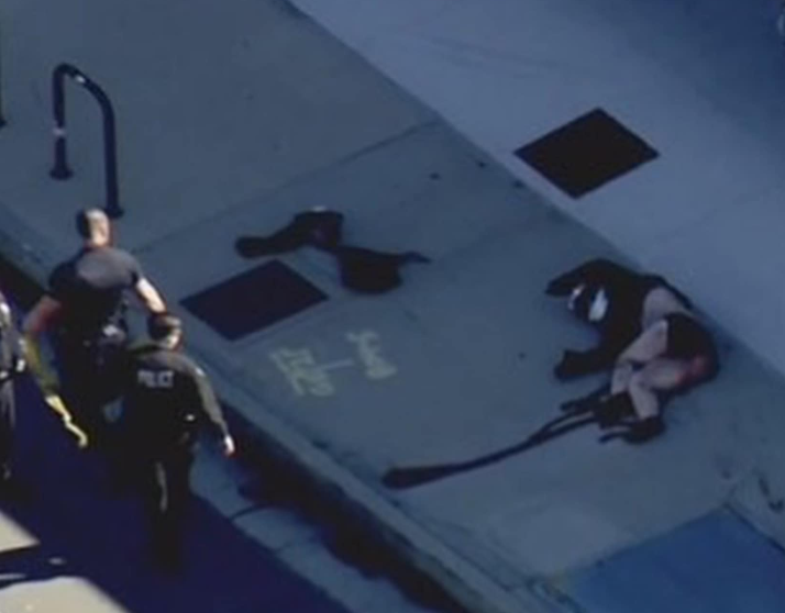 ɐʅɔՈ ʞsᗡ tweet media