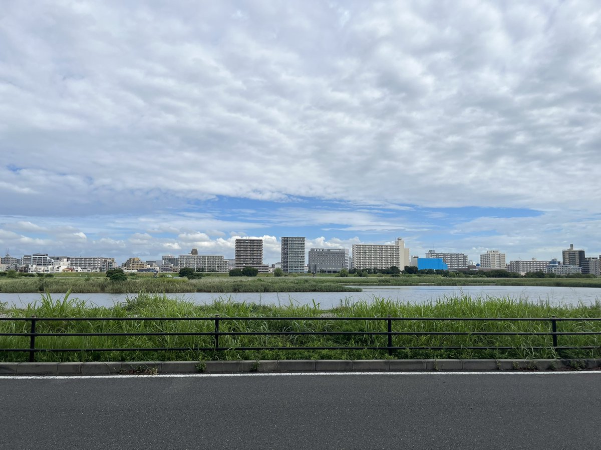 きょうりゅう🕶 tweet media