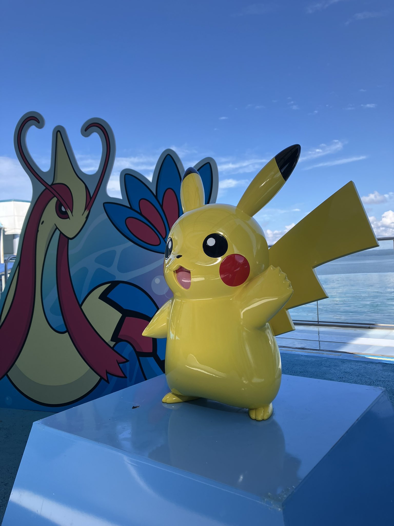 ポッチャマ様おまとめ専用ページ♡ ポッチャマ様おまとめ専用ページ♡ MA (@MAaaaaa_Poke) / X