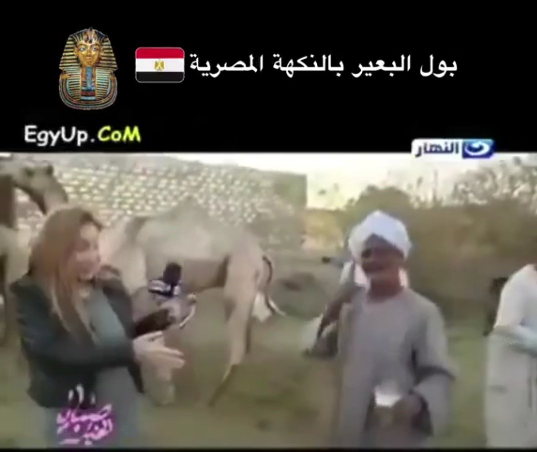 sol_971's tweet photo. @zynb_frh65367 @deeboo316 @Johnelmasry2020 بدوي وافتخر يا اللي بدون اصل .
شوف المصارية يشربو بول البعير 😂 https://t.co/VxAeb5GPi4