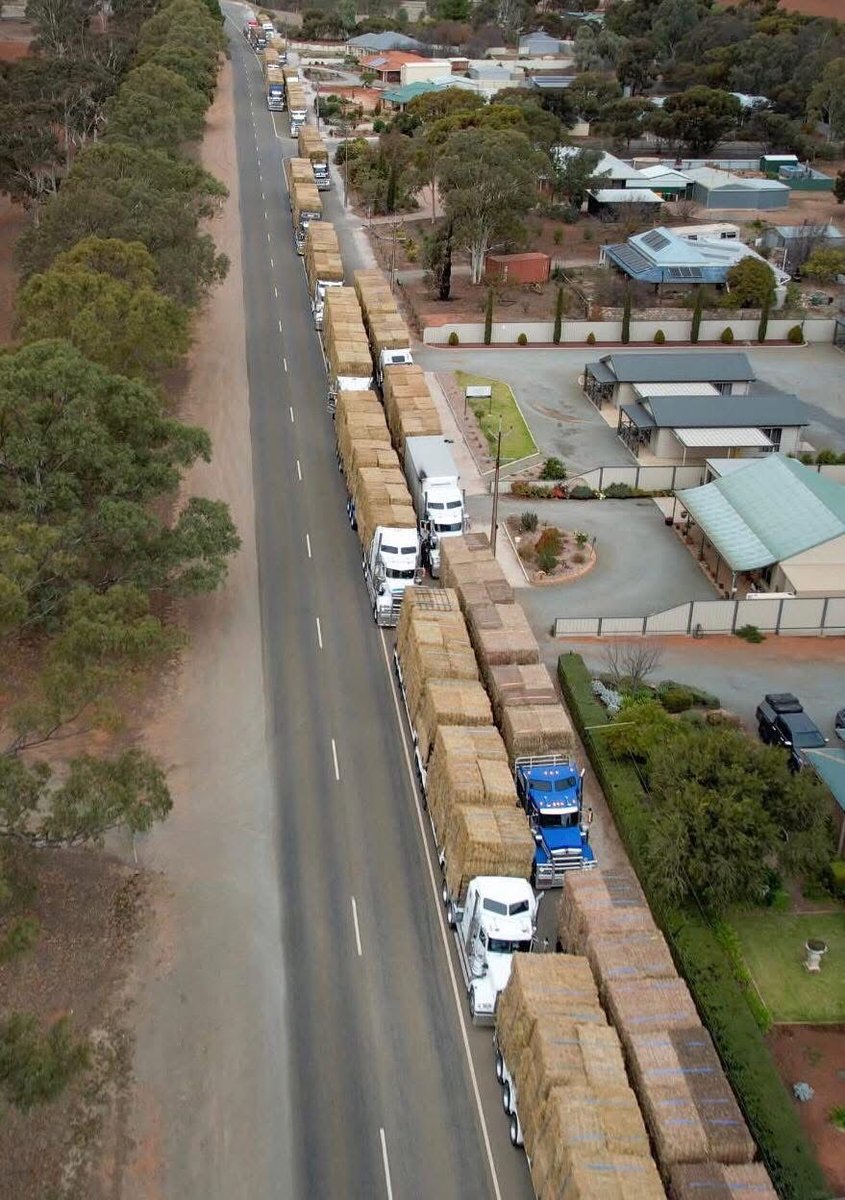 Kudos to Sam &amp; Farmers Across Borders - the very best of Australian spirit.