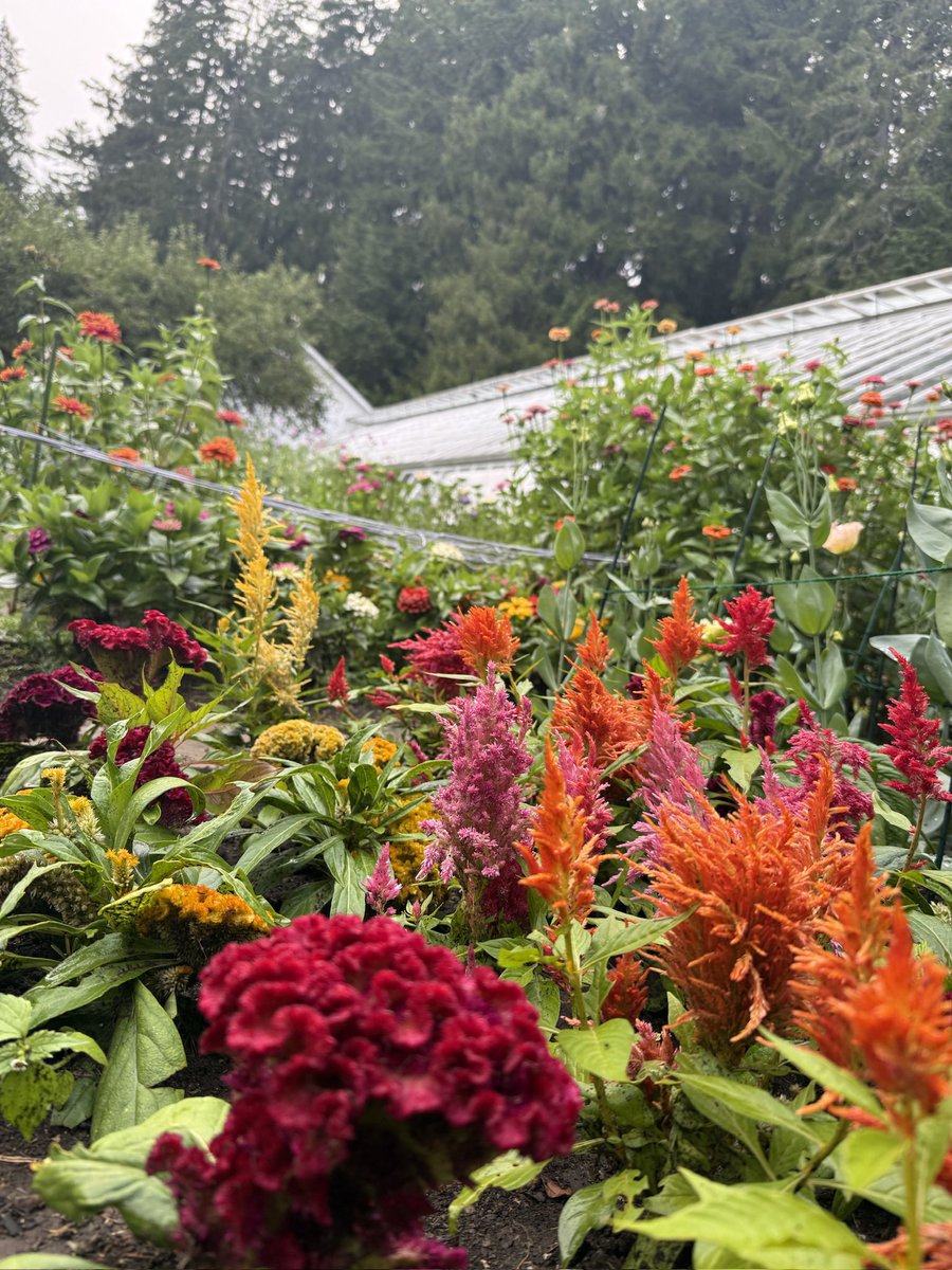 CroireR's tweet photo. This developer explored Vermont this past week! How lucky am I to have such a great job to come home to? Back to work on Flicker it is! https://t.co/0ssOCUDHRT