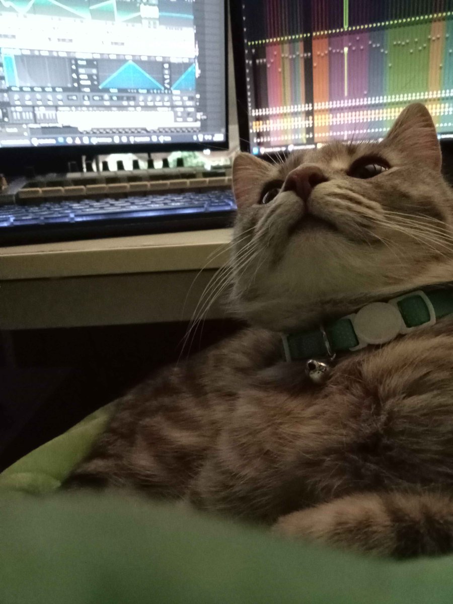 sorry everyone i cant finish the song because i have to pat her