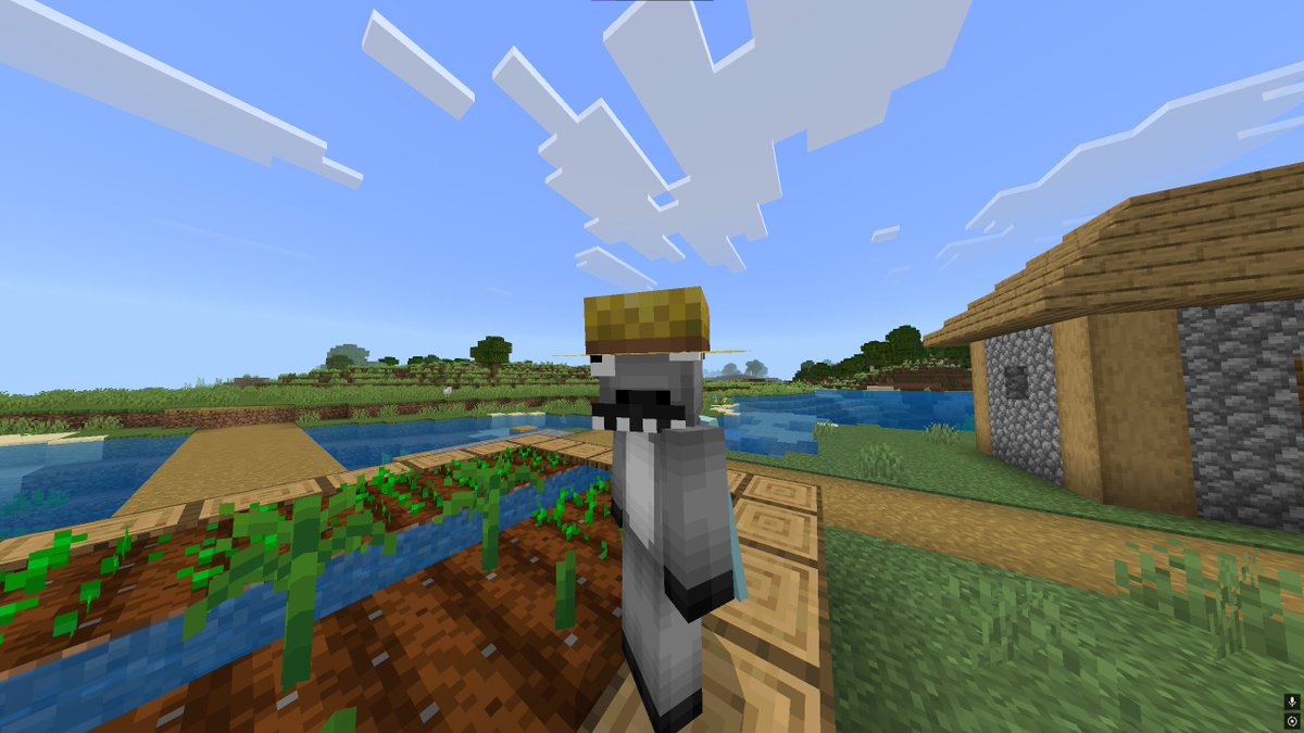 Elote Craft (@elotecraft_smp) on Twitter photo 