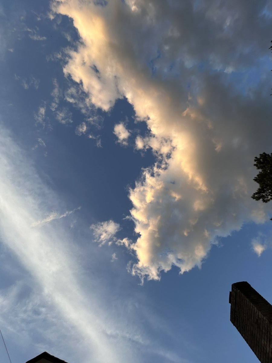 Do you ever just lay down and look at the sky at sunset?