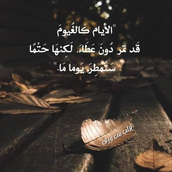 اللهُم سعادة تملأ الفؤاد  وأمان يعانق الروح وفرحة لم تكن بالحسبان آمين يارب العالمين🤲ظ