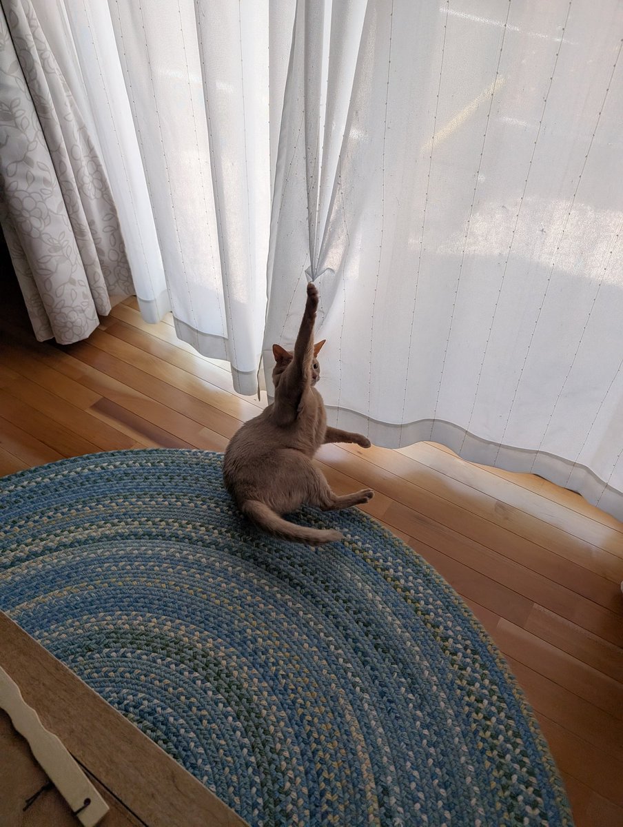 namihi3's tweet photo. お！っと思って写真撮ってたら「助けてーーー！」って鳴いたから慌てて救出しました😅 https://t.co/omFhycOGVY