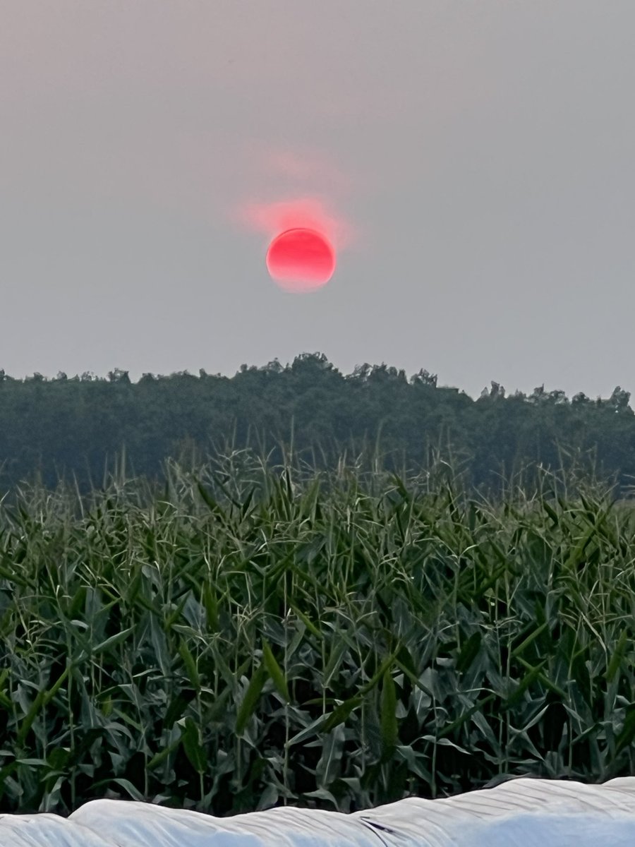 Bernie Kamphof tweet media