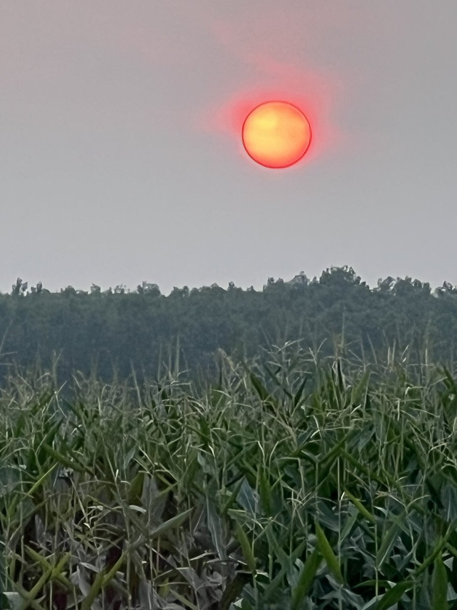 Bernie Kamphof tweet media