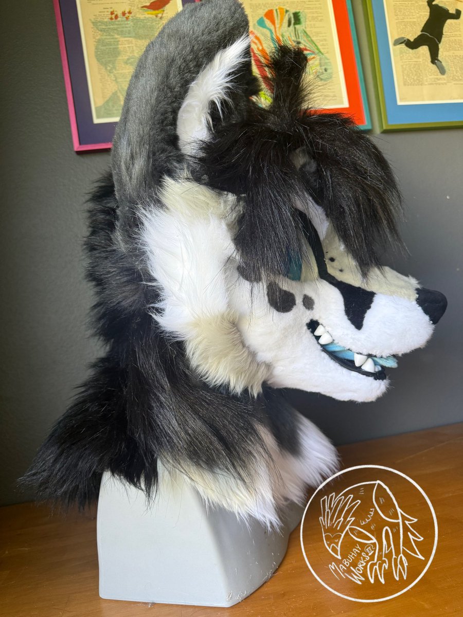 Finished 2.0 of this ❄️🦊🐱 

#fursuit #fursuitmaker #fursona