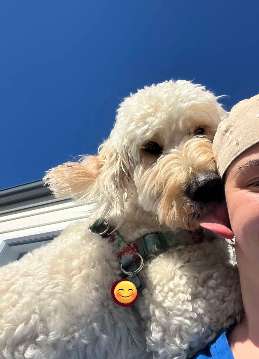 Toby has recovered from his desexing surgery this week. Still happy to give nurses kisses despite them being involved in removing his family jewels