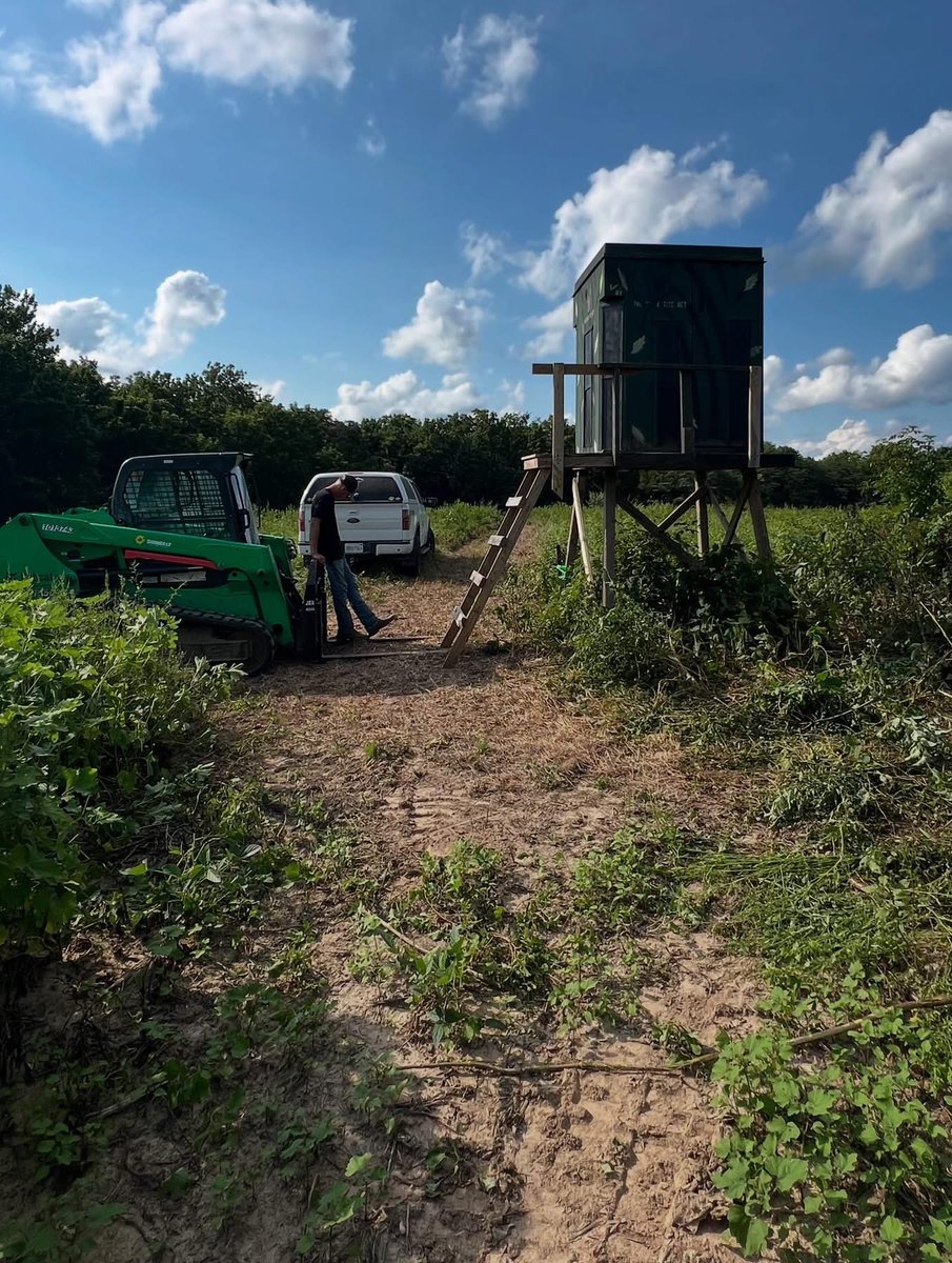 🦌 Buck Chasers 🦌 tweet media