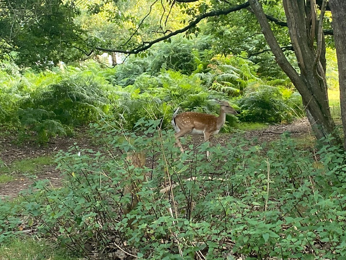 WMCMltd's tweet photo. Can you tell where our team was today ? https://t.co/tK8kqqi4NF