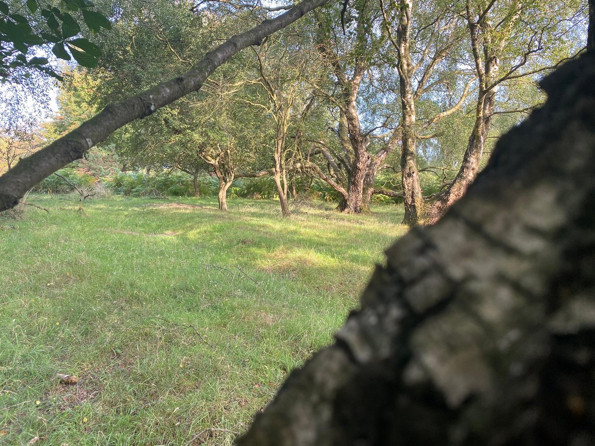 WMCMltd's tweet photo. Can you tell where our team was today ? https://t.co/tK8kqqi4NF