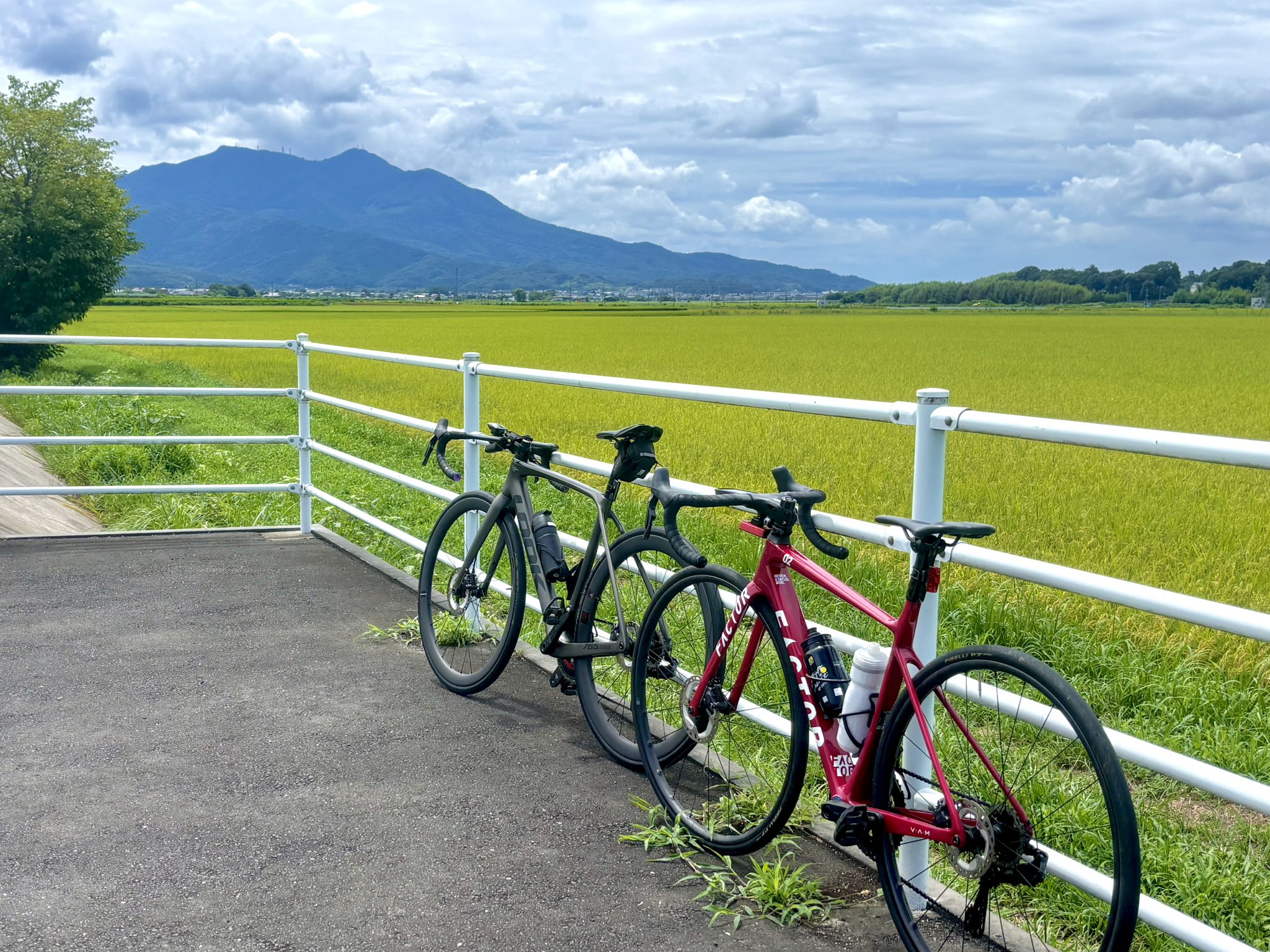 ぴぃです。 自転車】電動アシスト自転車 ViVi・YK ビビ・YX 特別仕様