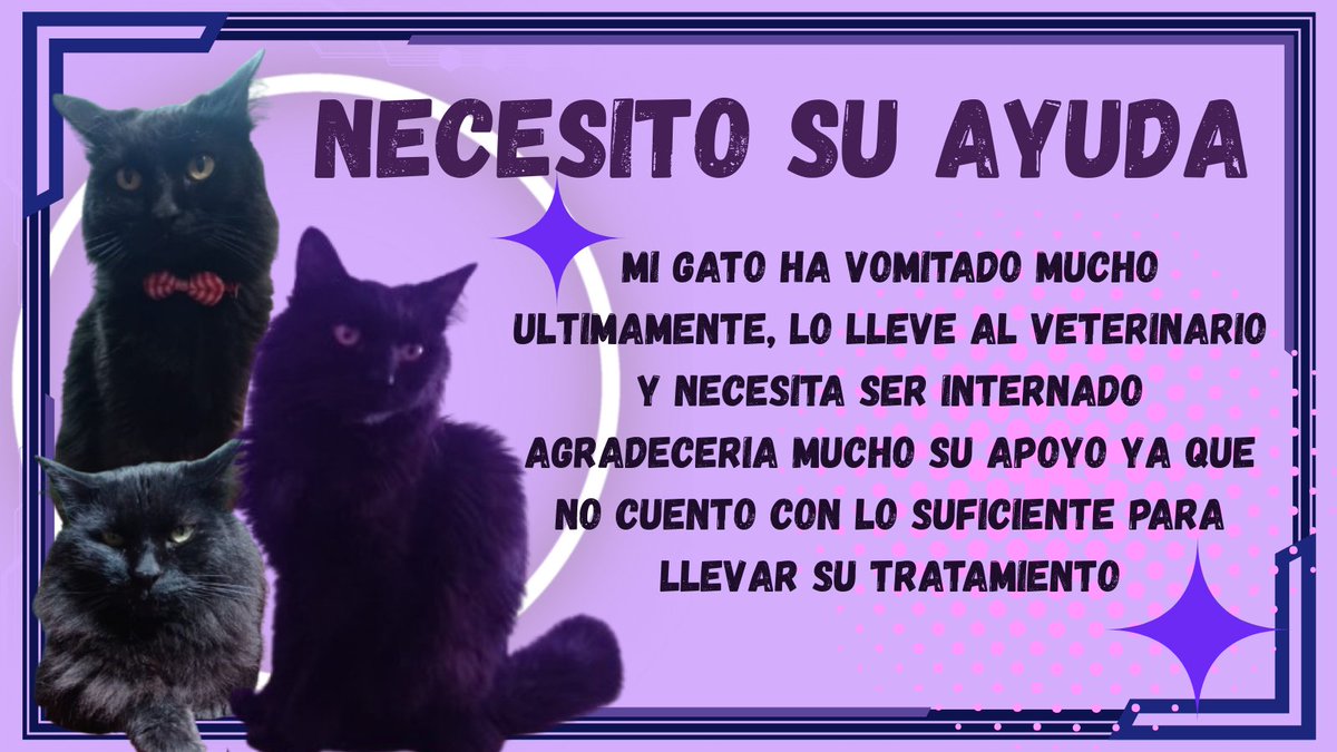 Buenas, muchas cosas han pasado a mi al rededor y se me suma una más
De verdad les agradeceria incluso con un rt/difundiendo

Aqui el link en donde me podrian apoyar:
⮞ ko-fi.com/tallikissana

Abajo mas info de los estudios de mi gato🐾