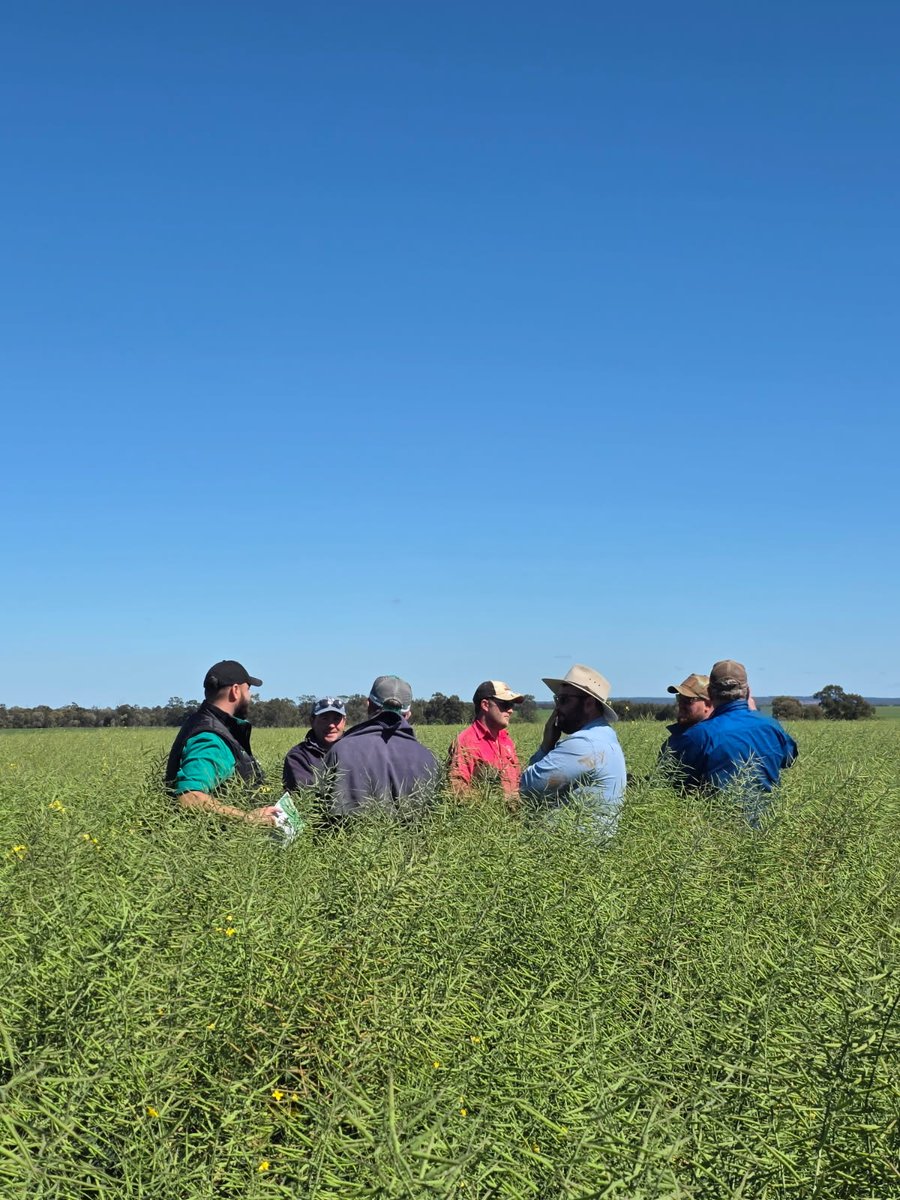 Charlotte Aves tweet media