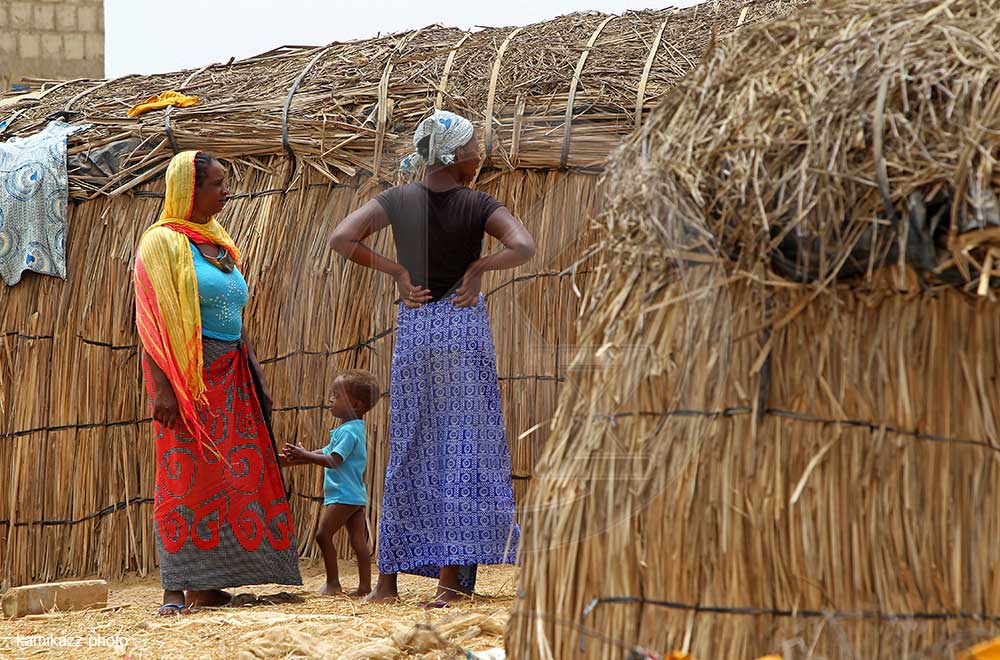 FagueyeFall's tweet image. Il y a quelques jours, j'ai été à Bokhol, Thillé Boubacar, à quelques petites kilomètres de la Mauritanie. La condition de vie modeste des habitants me hantent encore, alors qu'à la veille du Magal, je pense à toute la nourriture qui risque d'être jetée.