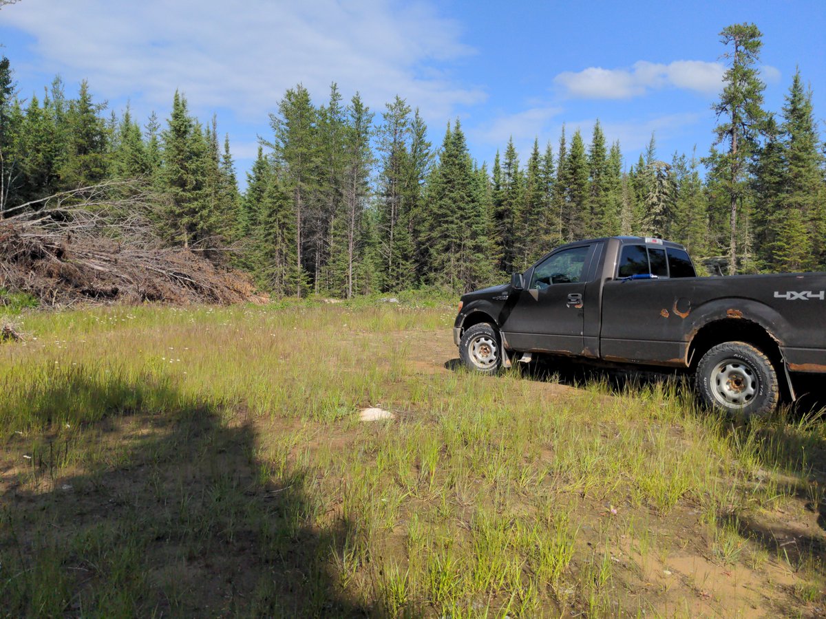 Going to be off in a few days, looking forward to going to do work on my off grid land. Something that's now illegal in 2 provinces.