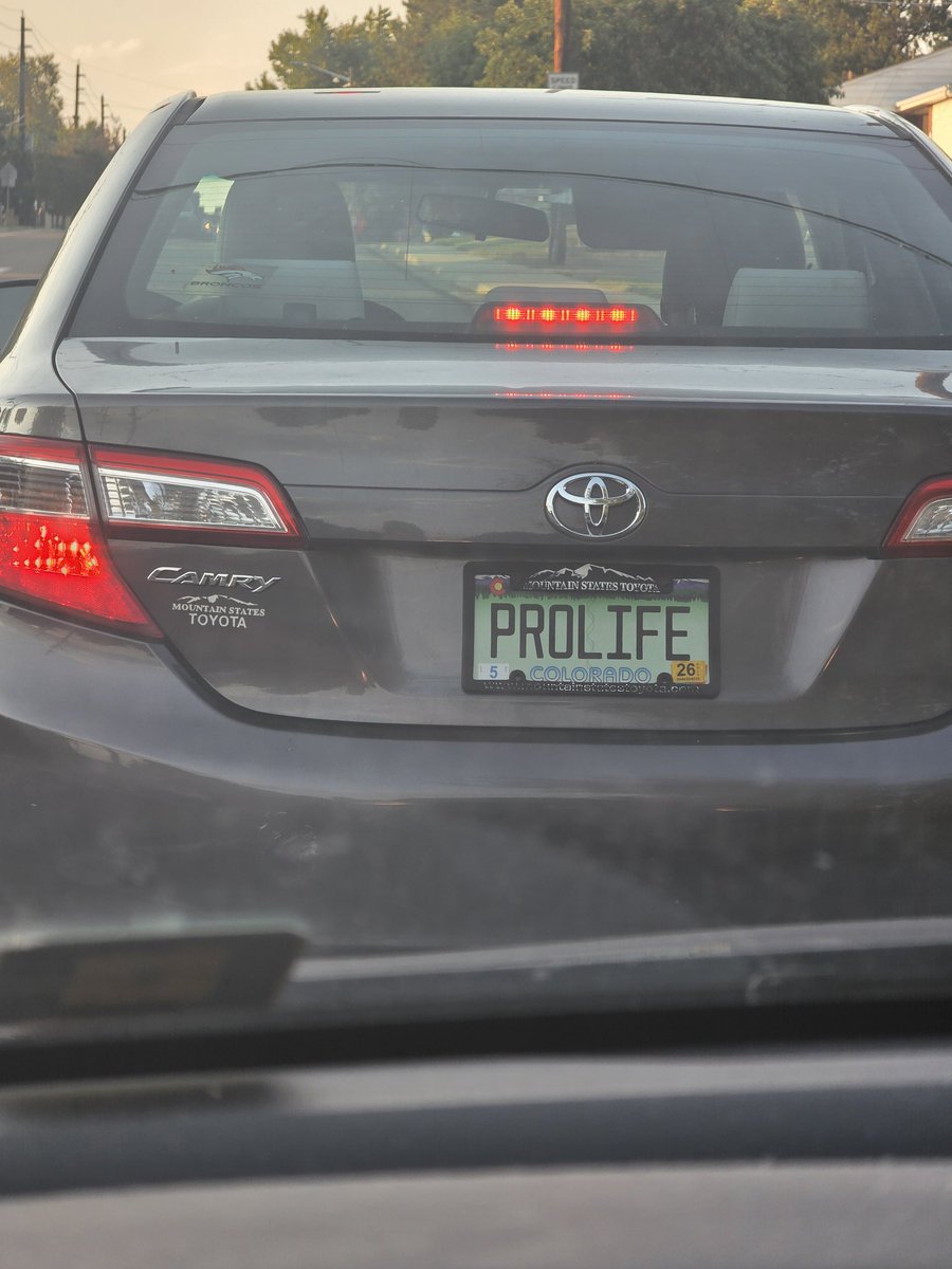 BassheadRob tweet media