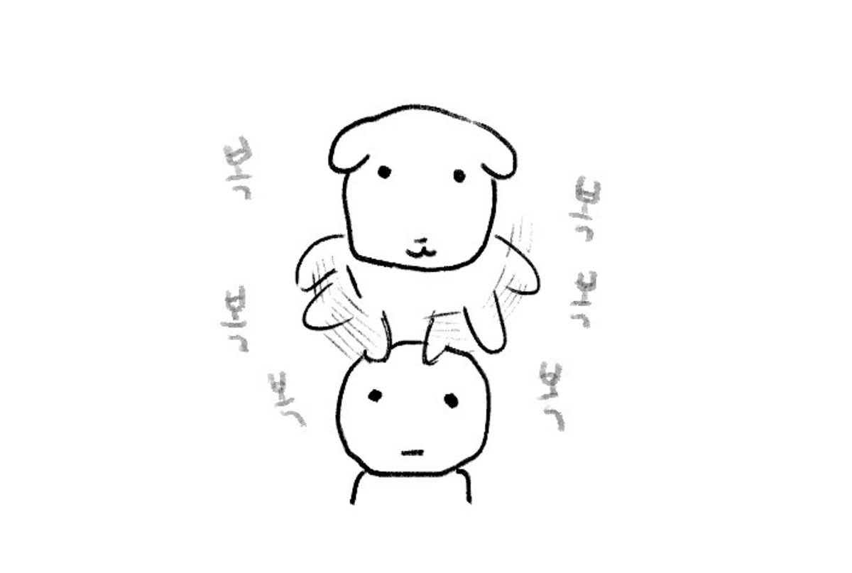 운학이 모닝 복복복🫳🏻