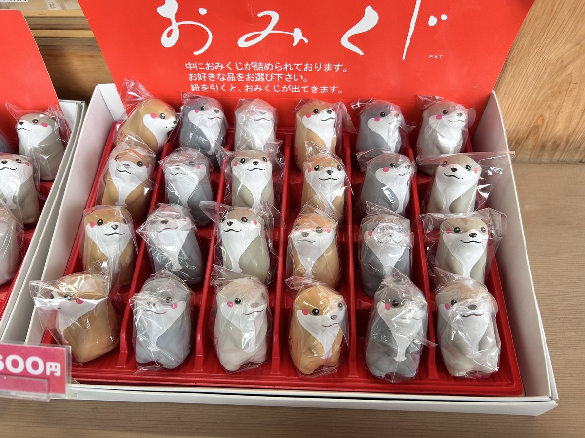 pyonsukenyon's tweet photo. @trip_otter22 めちゃくちゃ可愛いですね！
どちらにあるのですか？

我が家も少し前に茨城にあるかわうそ神社に行ってみました🌸 https://t.co/3kz2xQf3wQ
