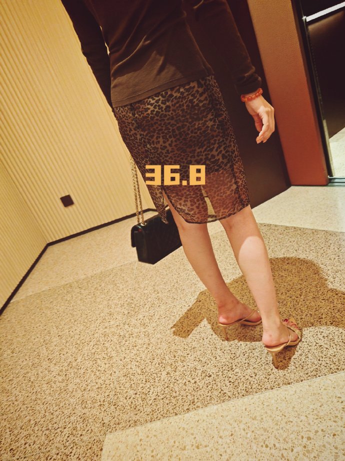 36.8℃ tweet media